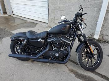  Salvage Harley-Davidson Xl883 N