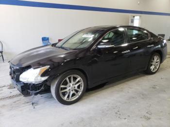 Salvage Nissan Maxima