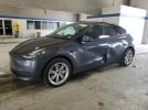 Tesla Model Y Image 1