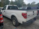 Ford F-150 Image 3