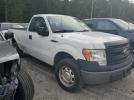 Ford F-150 Image 2