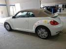 Volkswagen Beetle Image 2