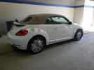 Volkswagen Beetle Image 4