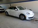 Volkswagen Beetle Image 5