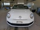 Volkswagen Beetle Image 8