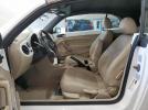 Volkswagen Beetle Image 11