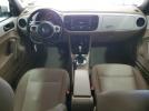 Volkswagen Beetle Image 3