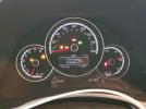 Volkswagen Beetle Image 12
