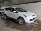 Ford Escape Titanium Image 5