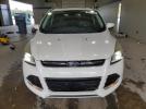 Ford Escape Titanium Image 13