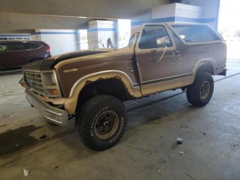  Salvage Ford Bronco