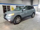 Hyundai SANTA FE Se Image 1