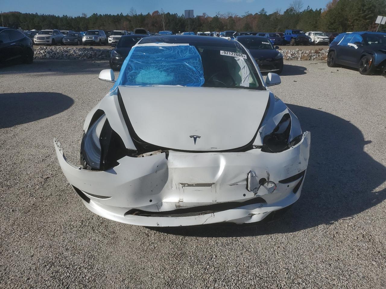 Tesla Model 3 Image 6