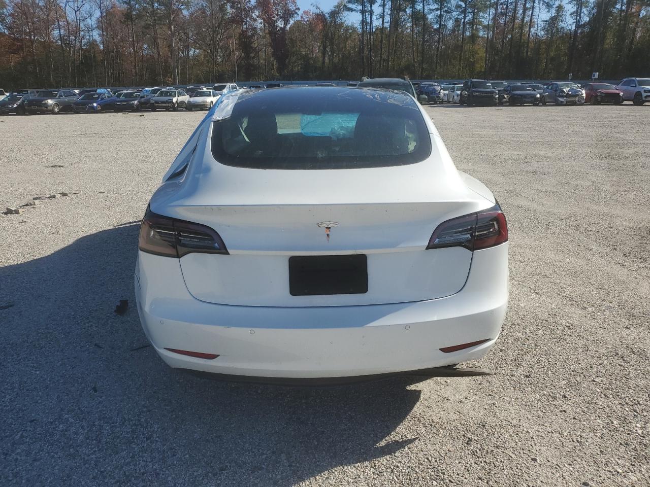 Tesla Model 3 Image 5