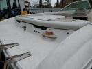 Sea Ray Boat Image 5