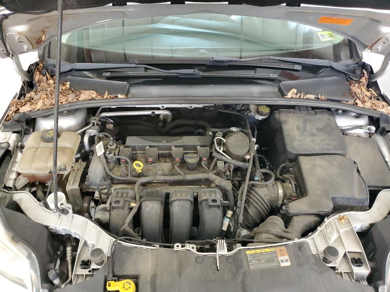 Ford Focus Se Image 3