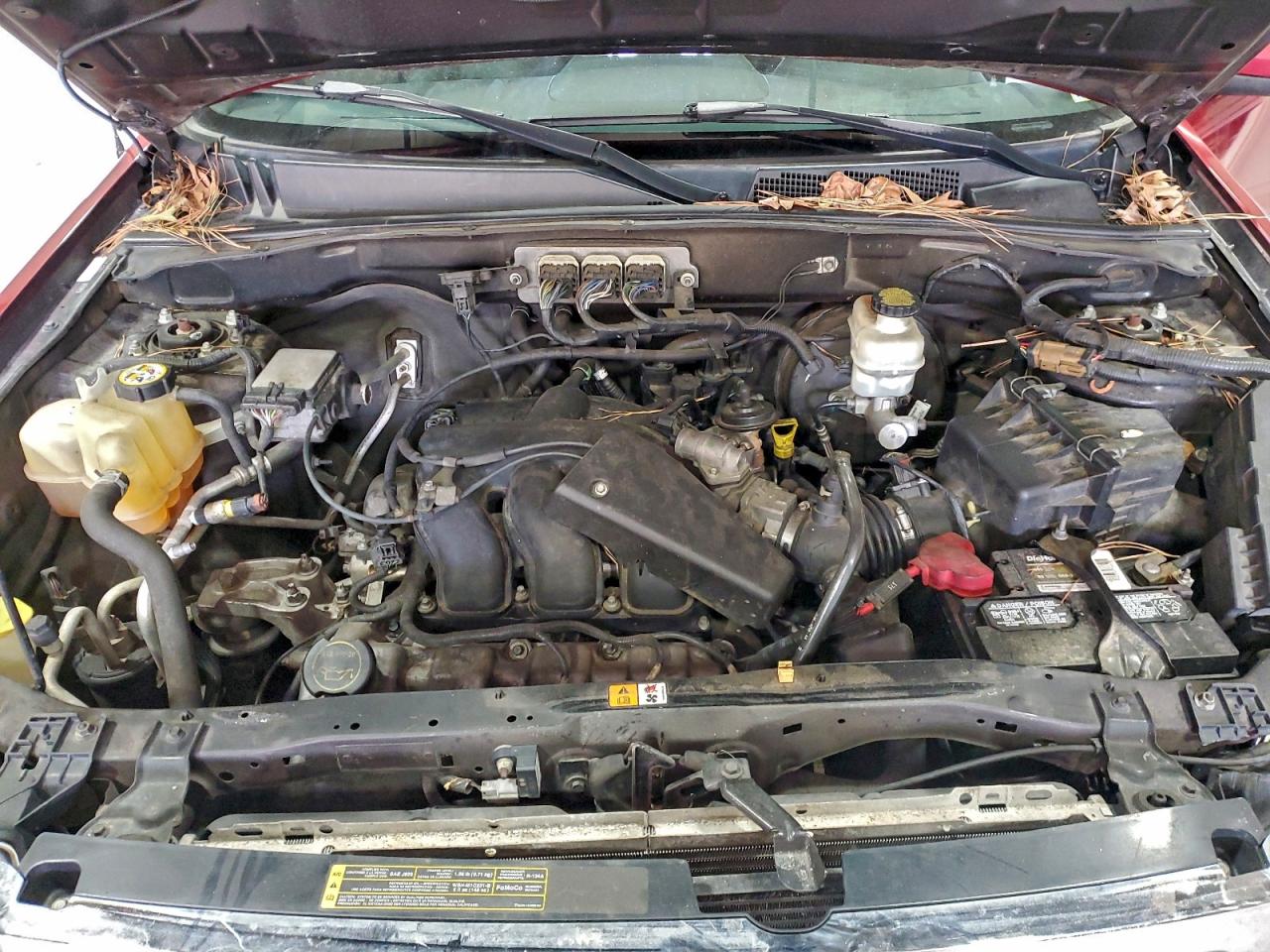 Ford Escape Limited Image 14