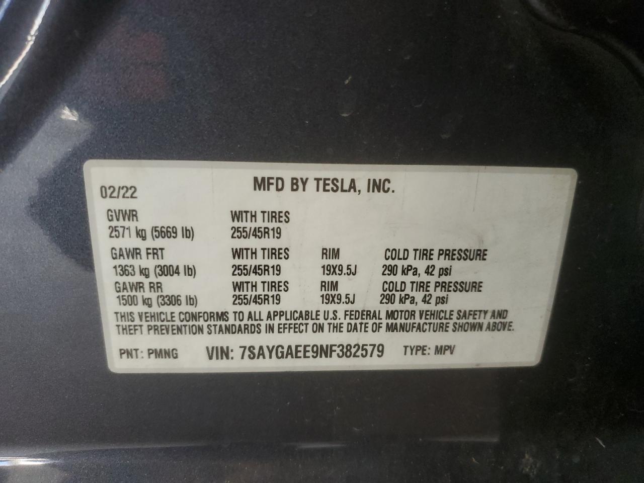 Tesla Model Y Image 13