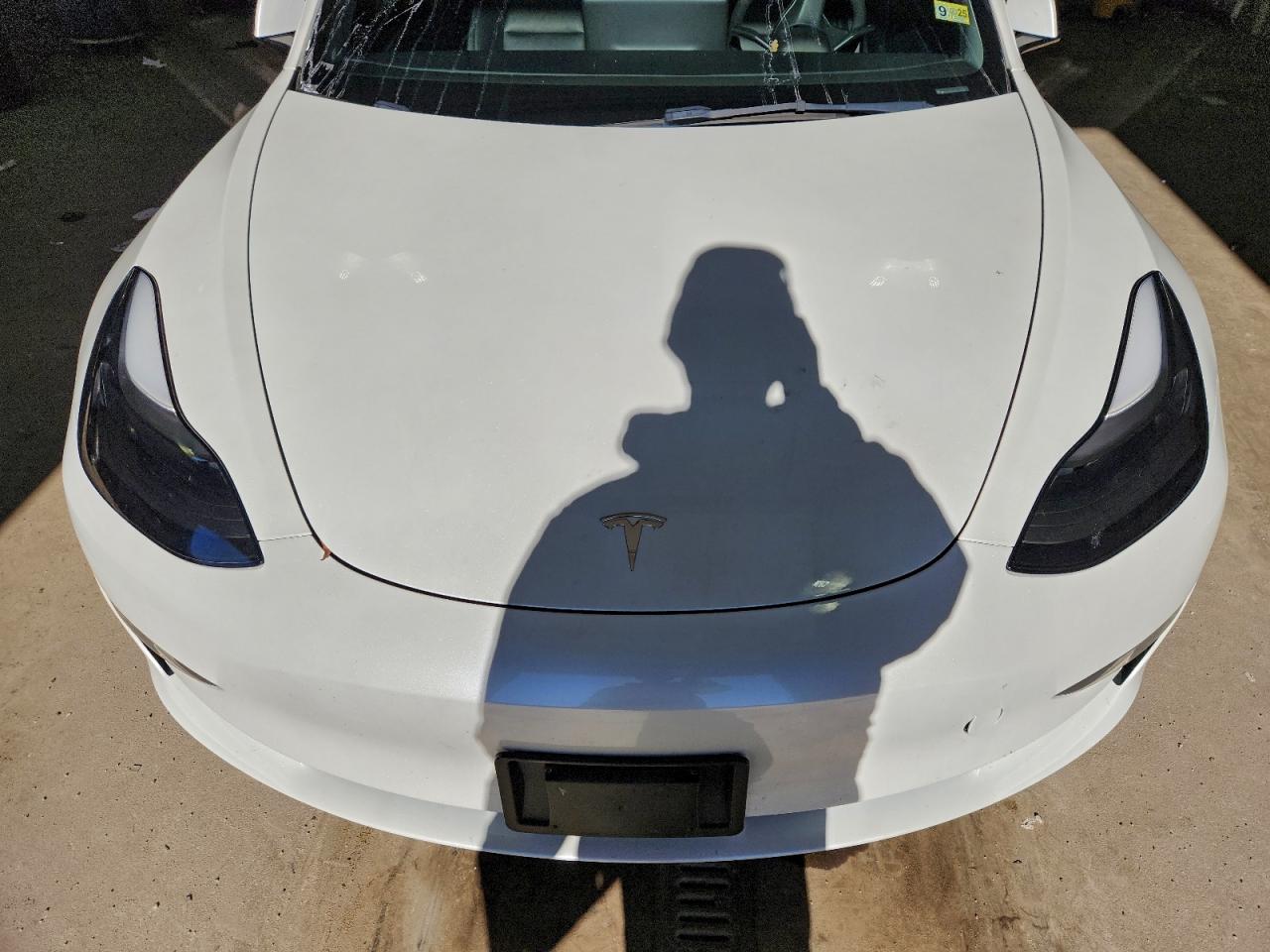 Tesla Model 3 Image 12