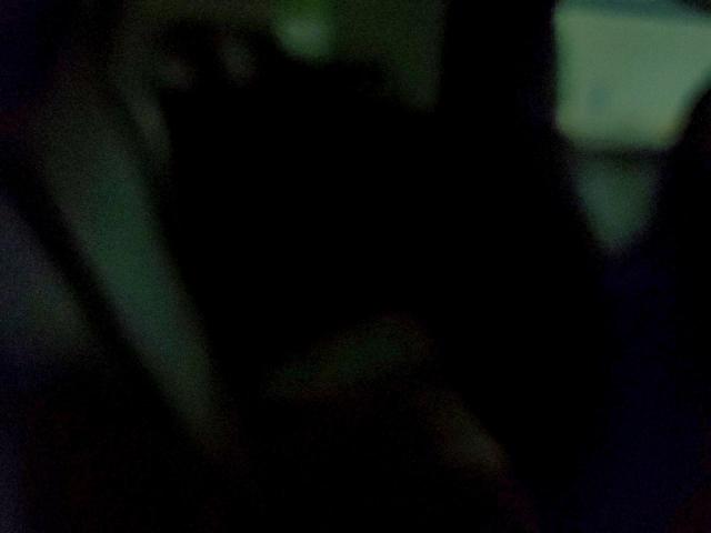 Tesla Model X Image 11