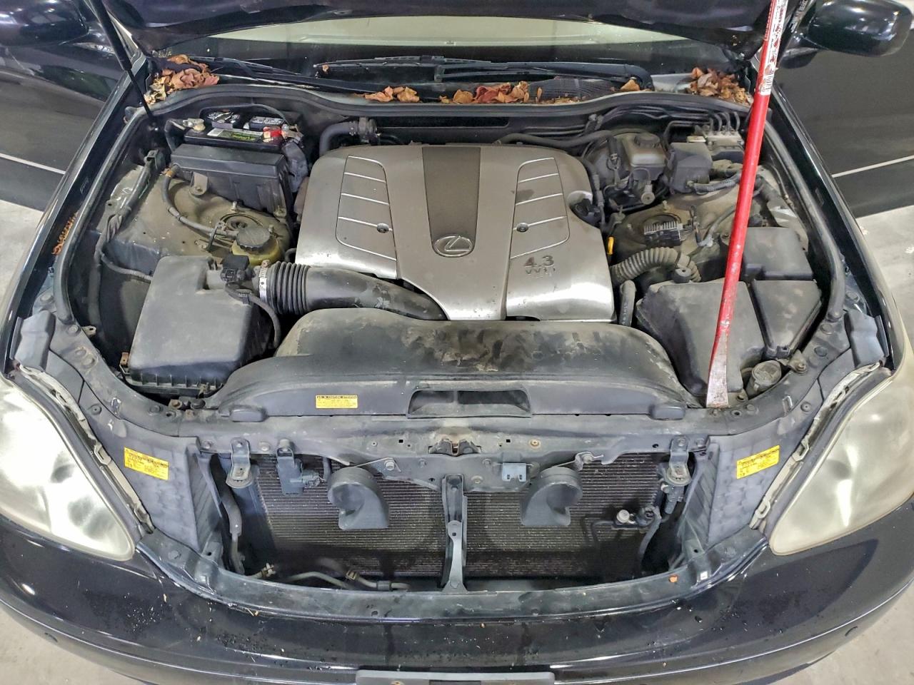 Lexus LS 430 Image 7