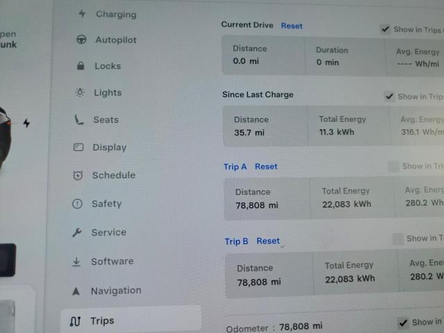 Tesla Model Y Image 9